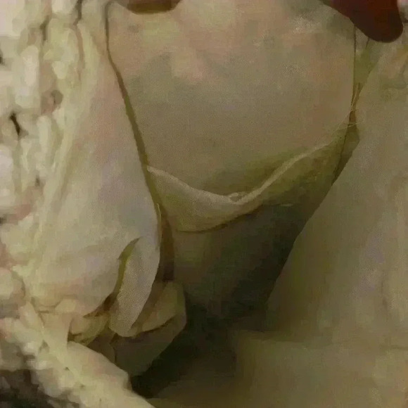 Vintage Macrame Owl Motif Beige W/ Wooden Accent Closure - Picture 7 of 13